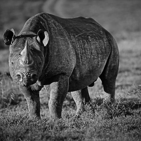 Riverbend Lodge Addo Bagian luar foto