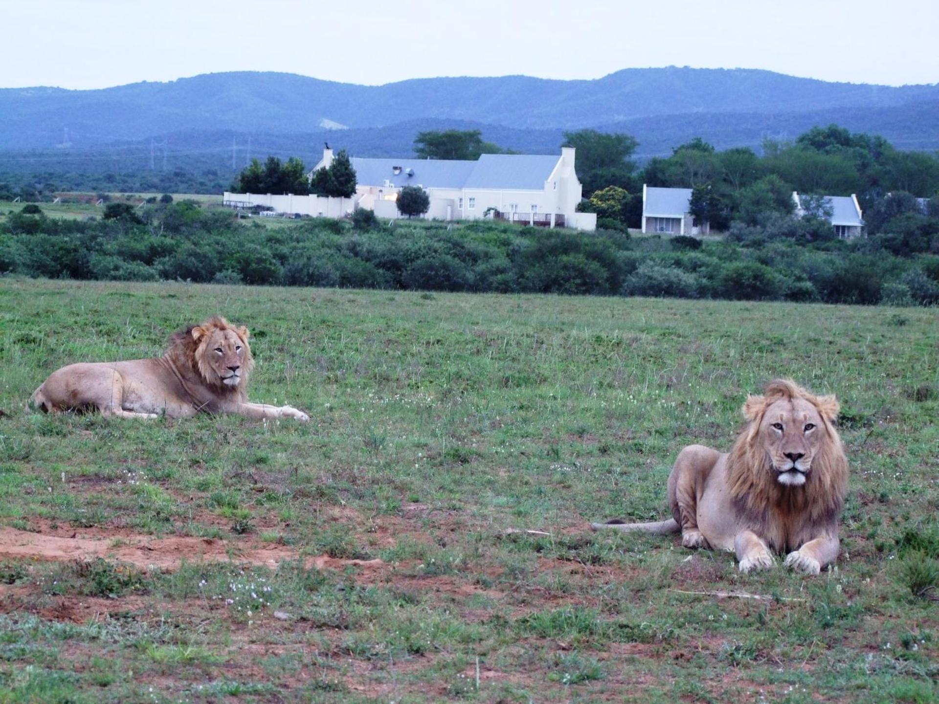 Riverbend Lodge Addo Bagian luar foto