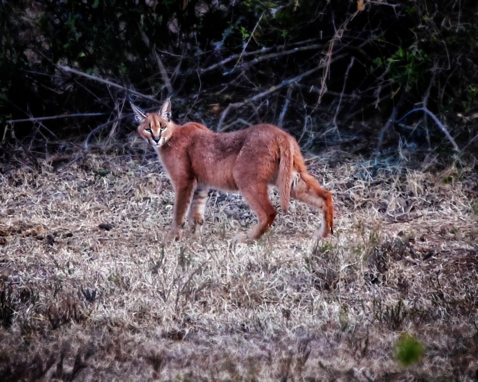 Riverbend Lodge Addo Bagian luar foto