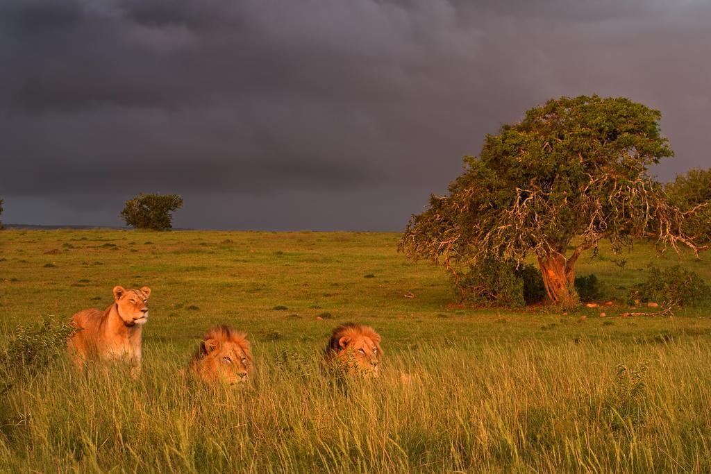 Riverbend Lodge Addo Bagian luar foto