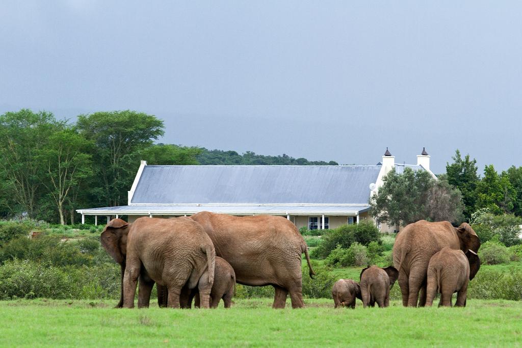 Riverbend Lodge Addo Bagian luar foto