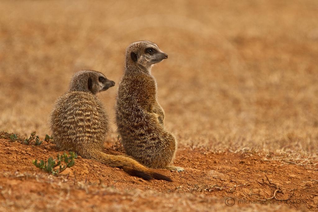 Riverbend Lodge Addo Bagian luar foto