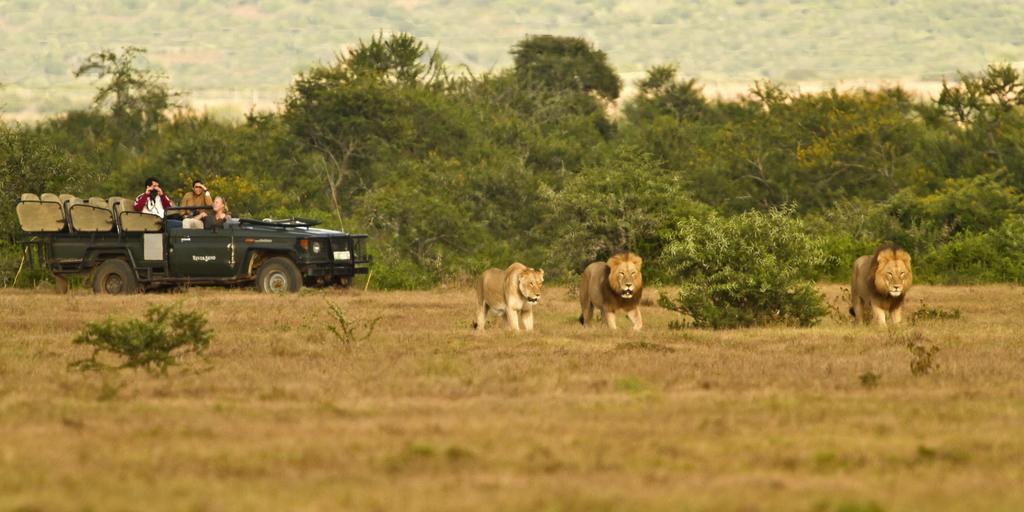 Riverbend Lodge Addo Bagian luar foto