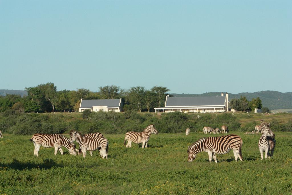 Riverbend Lodge Addo Bagian luar foto