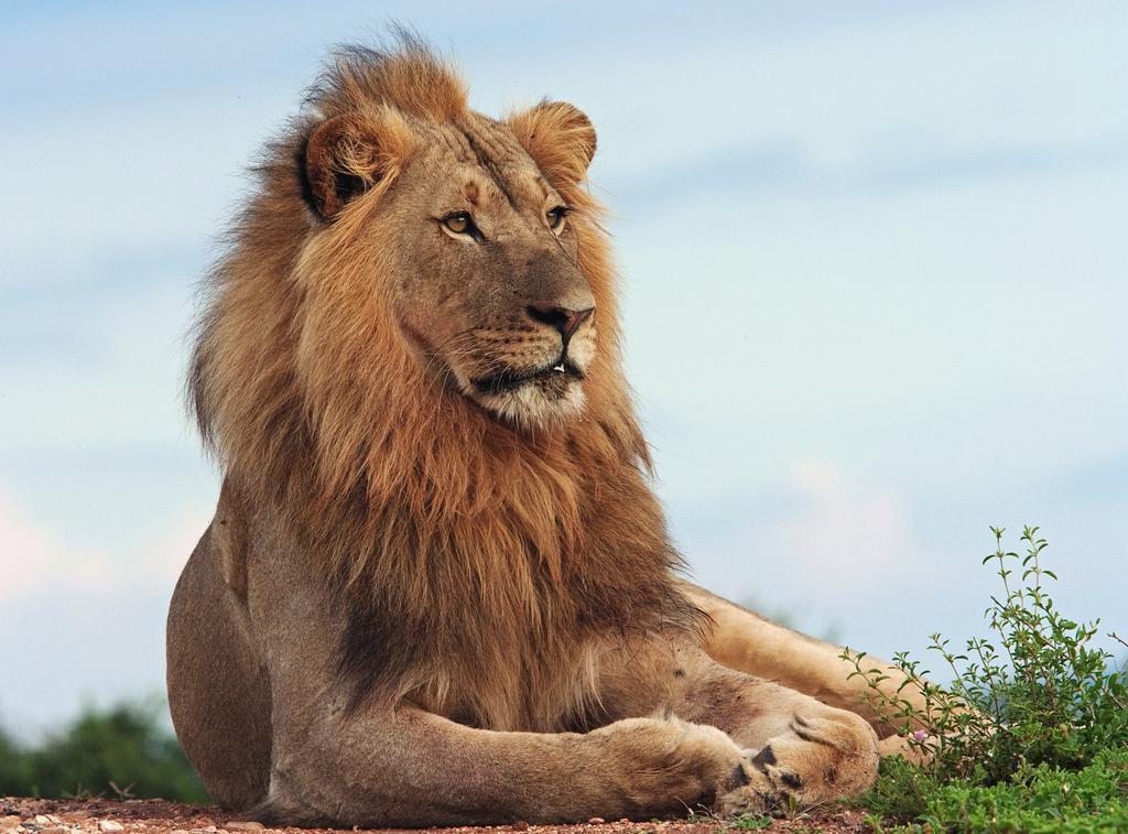 Riverbend Lodge Addo Bagian luar foto