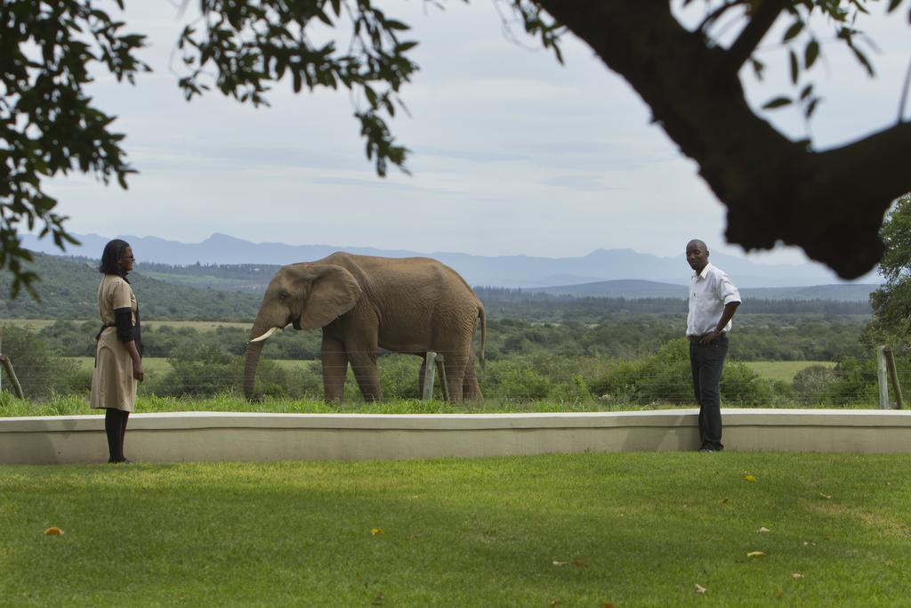 Riverbend Lodge Addo Bagian luar foto