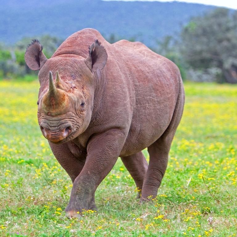 Riverbend Lodge Addo Bagian luar foto