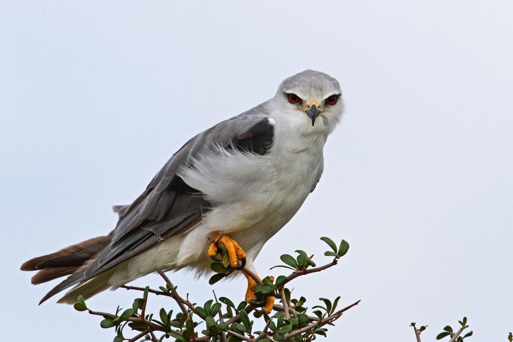 Riverbend Lodge Addo Bagian luar foto