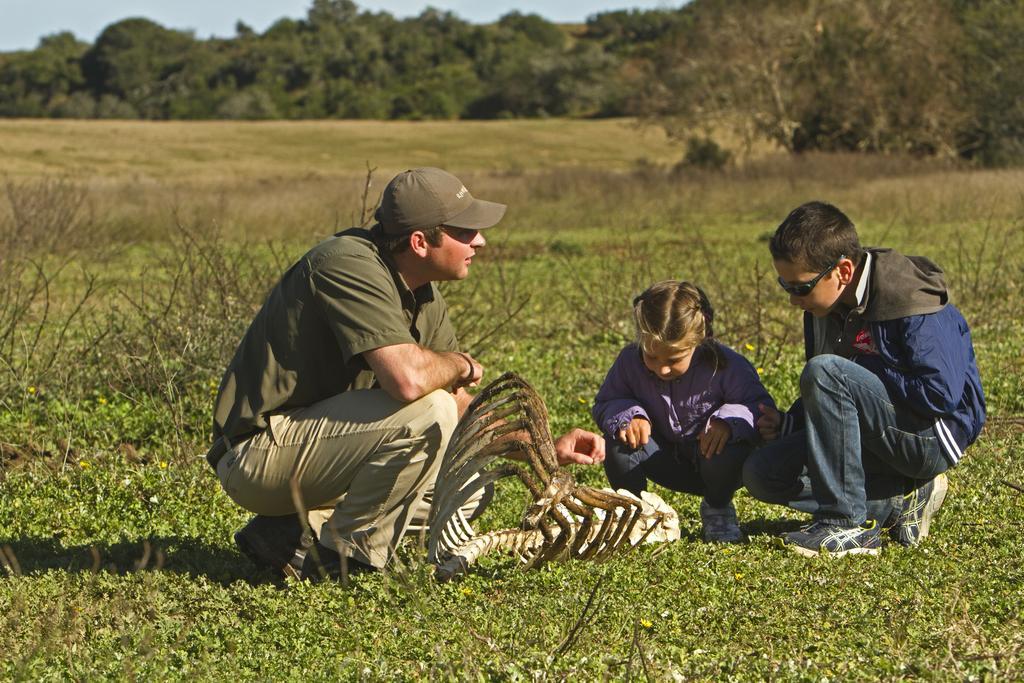Riverbend Lodge Addo Bagian luar foto