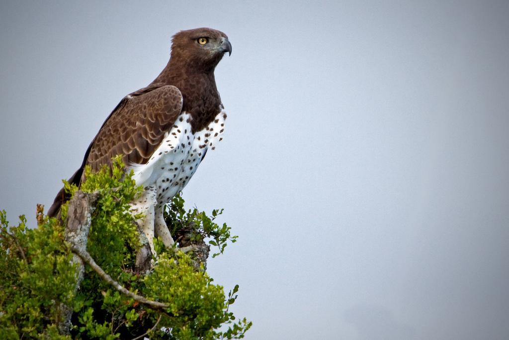 Riverbend Lodge Addo Bagian luar foto